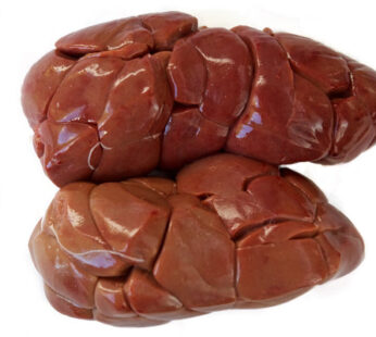 Fresh Ox Kidney (Per Kg)