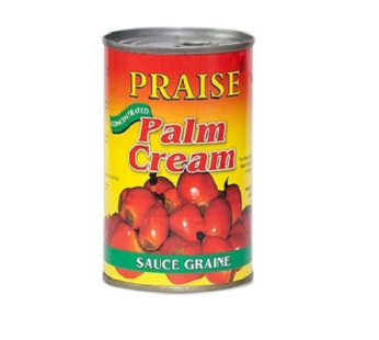 Praise Palm Nut Cream 400g