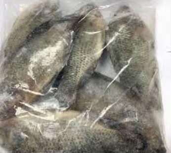 Frozen Tilapia Fish 300-500 (Gutted & Scaled) 2.5kg