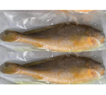 Frozen Yellow Croaker Fish (800-1200) 2.5kg