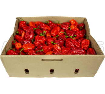 Fresh Hot Pepper Box