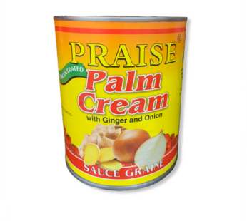 Praise Palm Nut Cream Ginger and Onion 800g