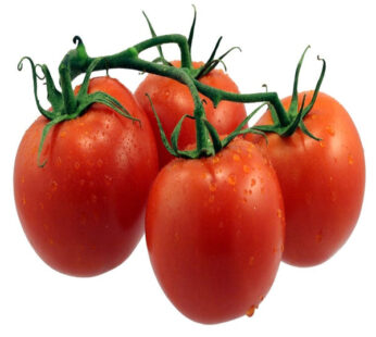 Fresh Vine Tomatoes